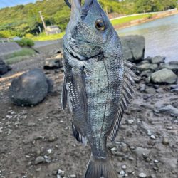 海はさっぱり釣れません。