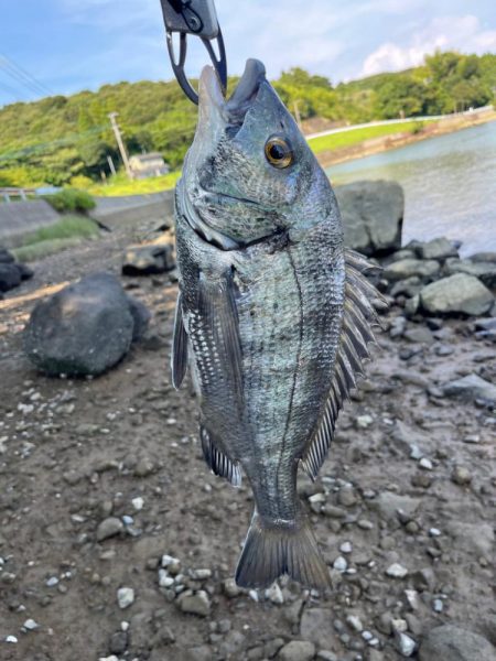 海はさっぱり釣れません。