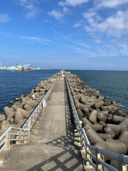 周りは釣れているのに