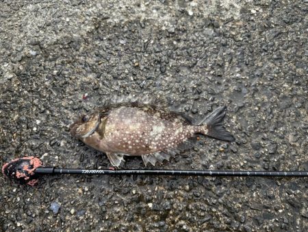 久しぶりのフカセ釣り