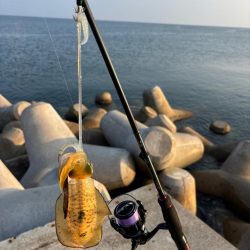 エギング2時間青物2時間