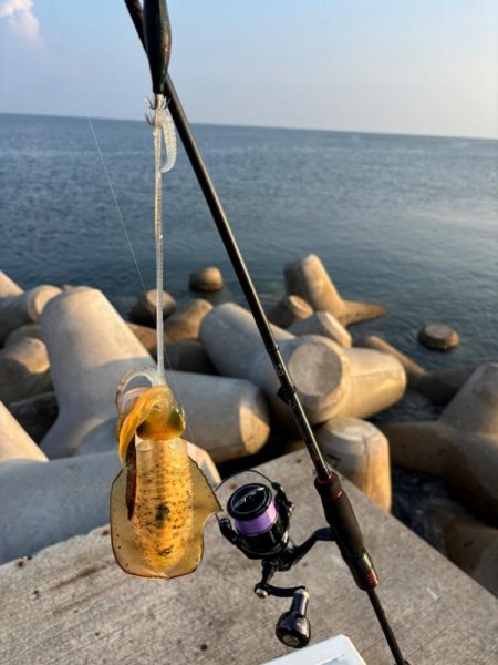 エギング2時間青物2時間