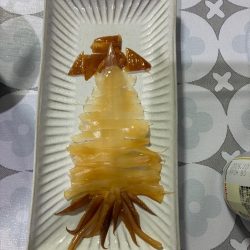 第2回イカメタル