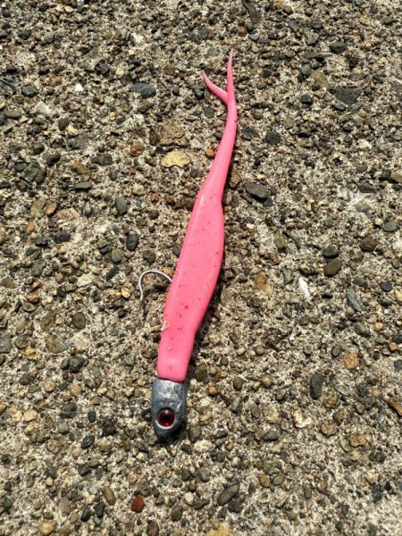 フラットフィッシュ