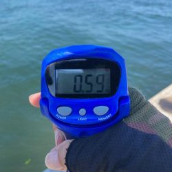 夏イカ最高🦑🦑