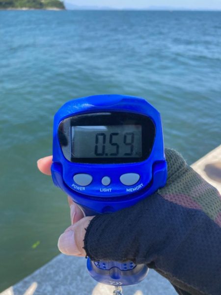 夏イカ最高🦑🦑