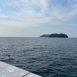 ロックフィッシュ釣行