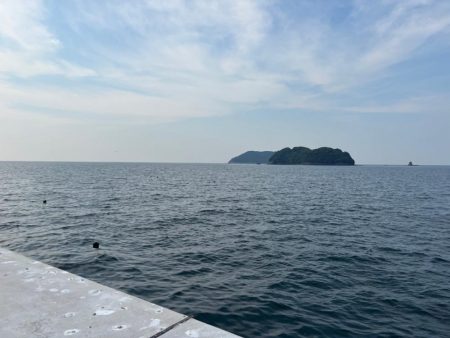 ロックフィッシュ釣行