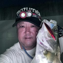 ダイソーベイトリール検証失敗!