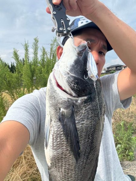 やっぱりチュパゾーいいね！