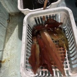 土砂降りで激渋の中竿頭ゲット！