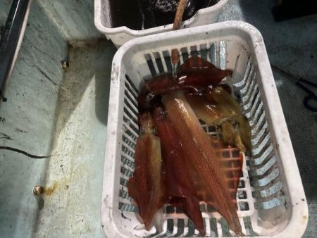 土砂降りで激渋の中竿頭ゲット！