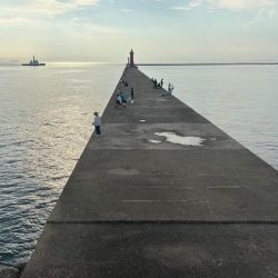 ボウズ覚悟のマダコ釣り