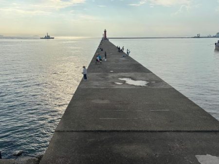 ボウズ覚悟のマダコ釣り