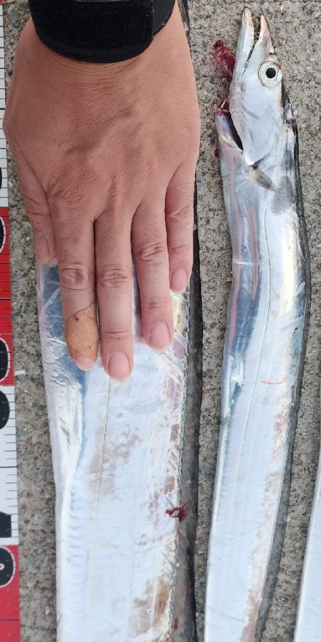 新人と大ベテラン