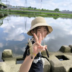 懲りずにテナガエビ