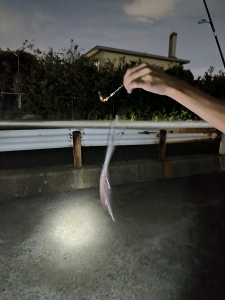 ちょい投げリベンジ