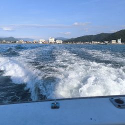 楽しいイカメタル