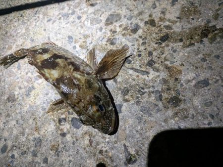 サイズを求めて