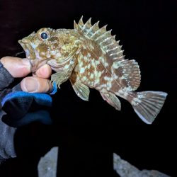 ちょっと涼しい？