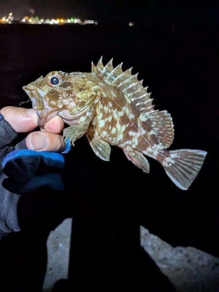 ちょっと涼しい？