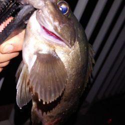 電気ウキ釣り 10