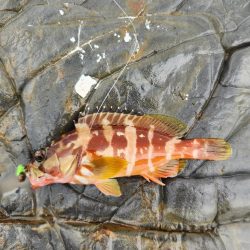 雨の遠征　1日目