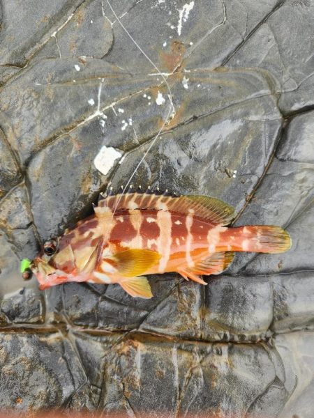 雨の遠征　1日目