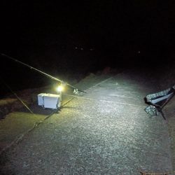 苅屋海岸のキス釣り