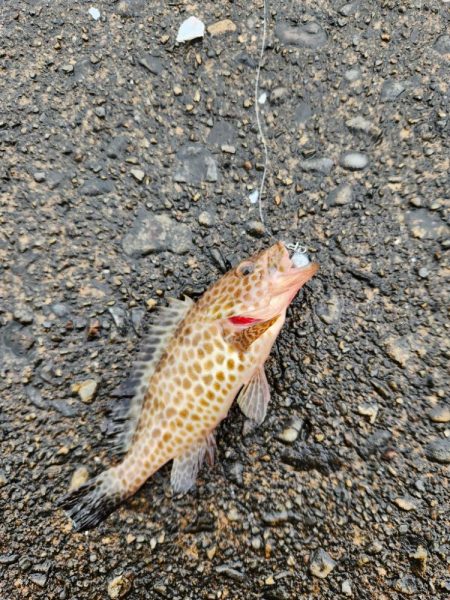 雨の遠征　2日目