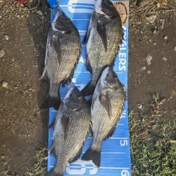 暑さに負けず🥵紀州釣り🥵