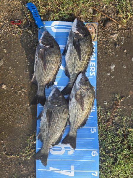 暑さに負けず🥵紀州釣り🥵