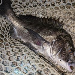 広島敷石ネチネチニング