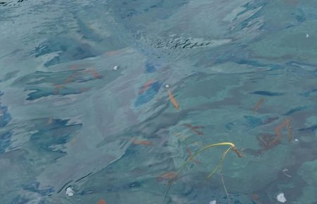 暑さより熱さが欲しい