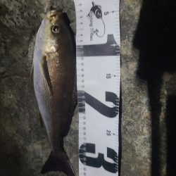 釣りすぎは良くないので帰る