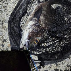 ナイトチニング