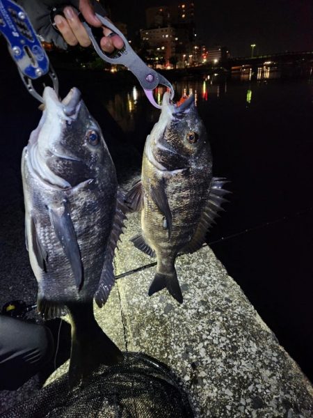 敷石ナイトチニング