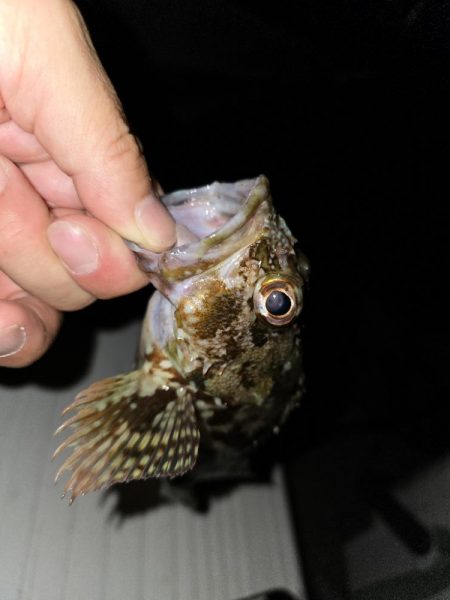 酷暑との戦い…六目釣り