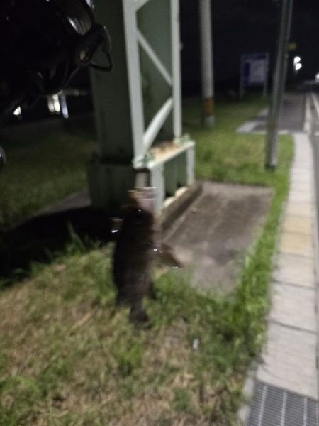 はじめての場所