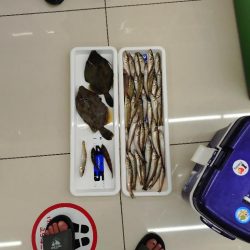 夏キスファミリーフィッシング2