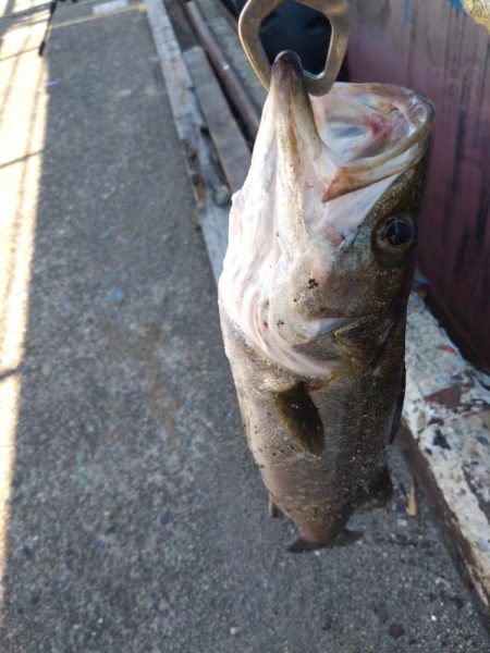 真夏のメソッド