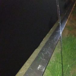 夕立の翌日、久しぶりにウナギ