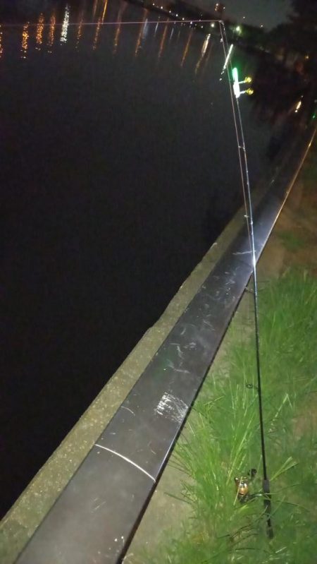 夕立の翌日、久しぶりにウナギ