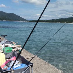 海水浴&キス釣り