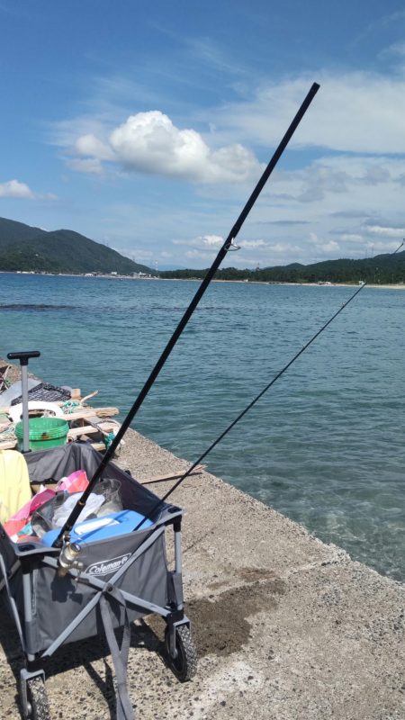 海水浴&キス釣り