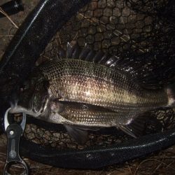 ホームエリアで