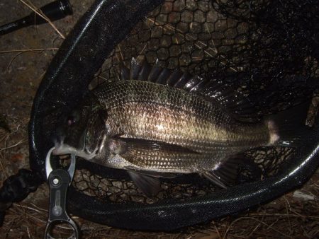 ホームエリアで