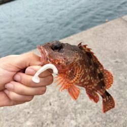 三重・和歌山遠征1日目