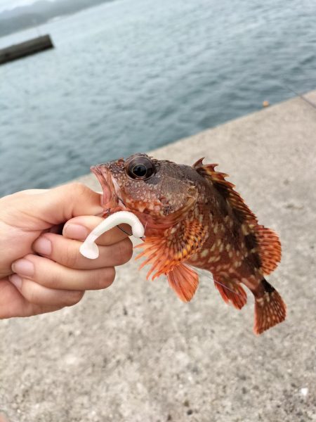 三重・和歌山遠征1日目