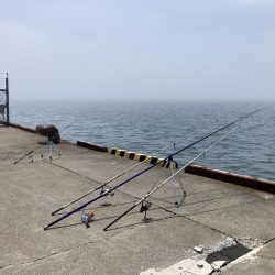 根室、夏枯れの時期にカレイ爆釣！！